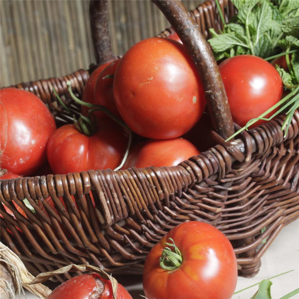 comment-restaurer-le-gout-de-nos-tomates