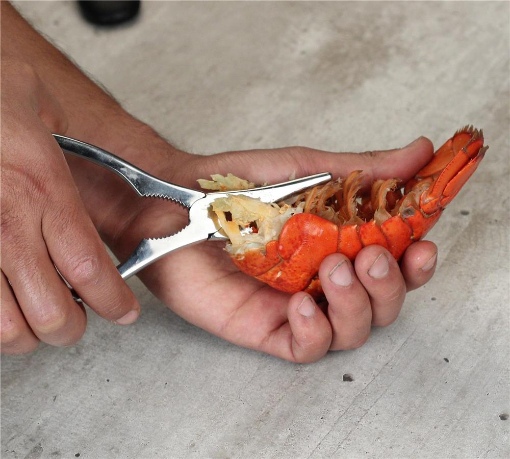 Ciseaux à homard thinkKitchen, rouge - Français